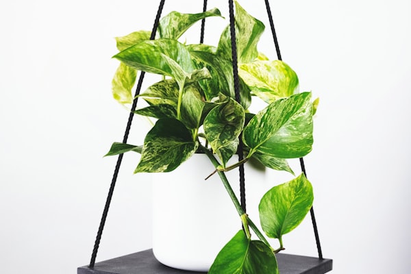 足球运动员梅西在新闻发布会上宣布未来计划